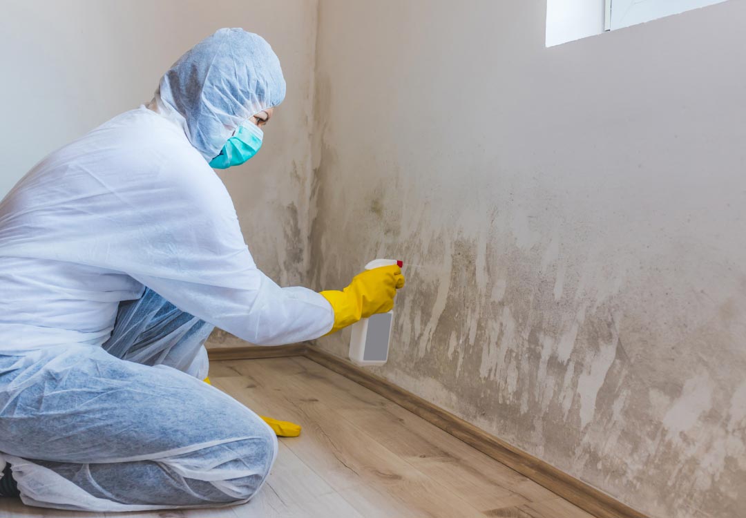 How to Prevent Mold Growth After Water Damage