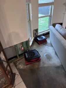 Should You DIY Water Damage Restoration - Water Rehab Restoration