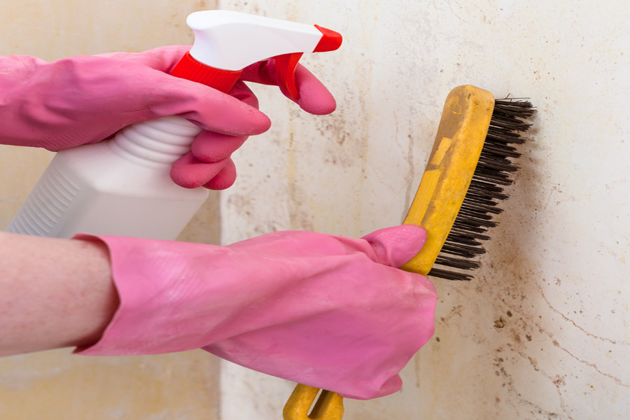 Musty Smell After Water Damage? How to Get Rid of It