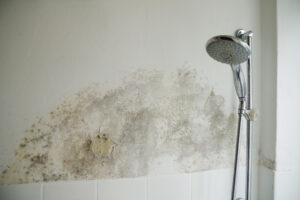 Does Insurance Cover Mold After Water Damage? | Water Rehab