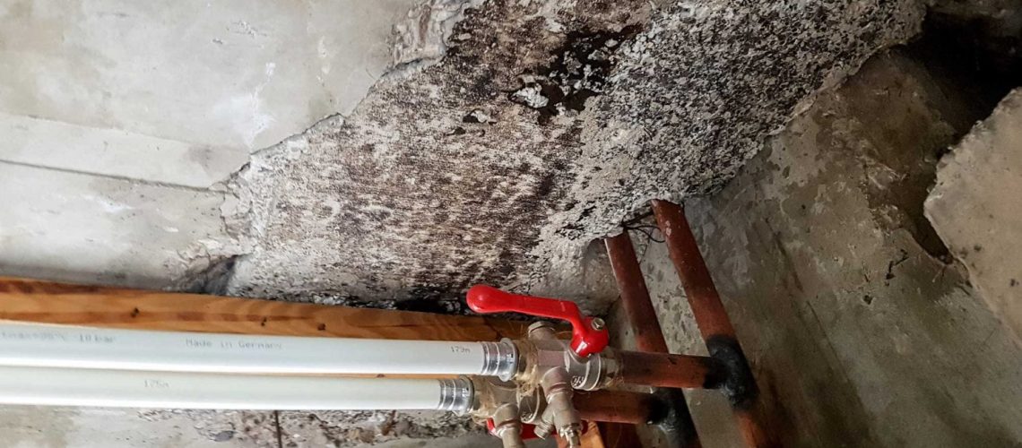 Will Mold Still Grow After Water Damage Has Been Restored? - Water Rehab Restoration