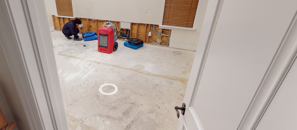 Water Damage Restoration Expert