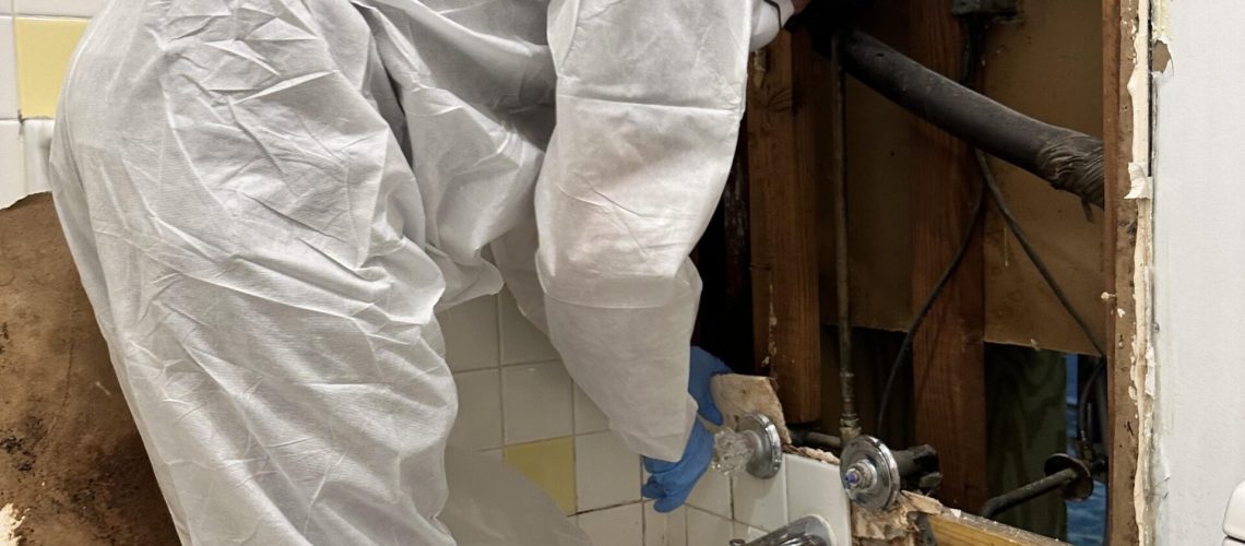 Will a One-Time Water Leak Cause Mold? - Water Rehab Restoration