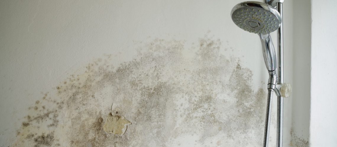 Does Insurance Cover Mold After Water Damage? | Water Rehab