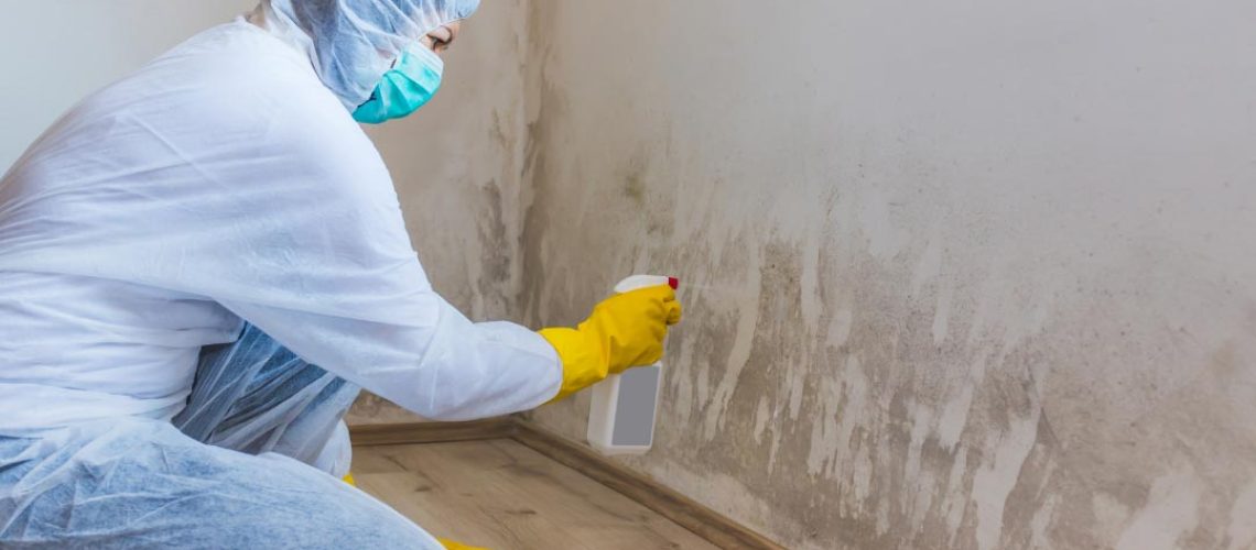 How to Prevent Mold Growth After Water Damage